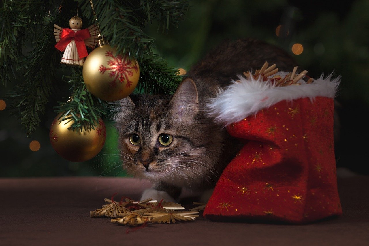 Weihnachten